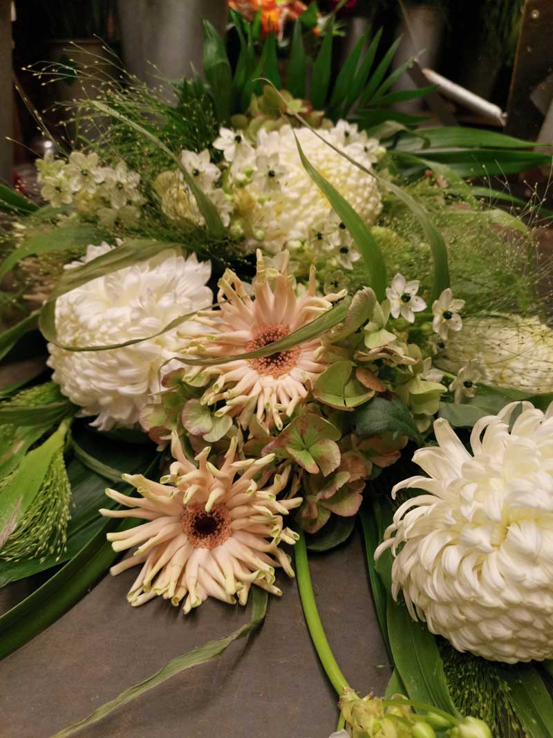 Nærbillede af hvide chrysanthemum og gerbera