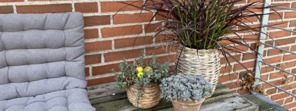 Planter arrangeret på palle i efterårstema