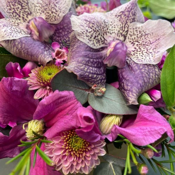 Nærbillede af orkide og clematis