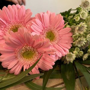 Lyserøde gerbera