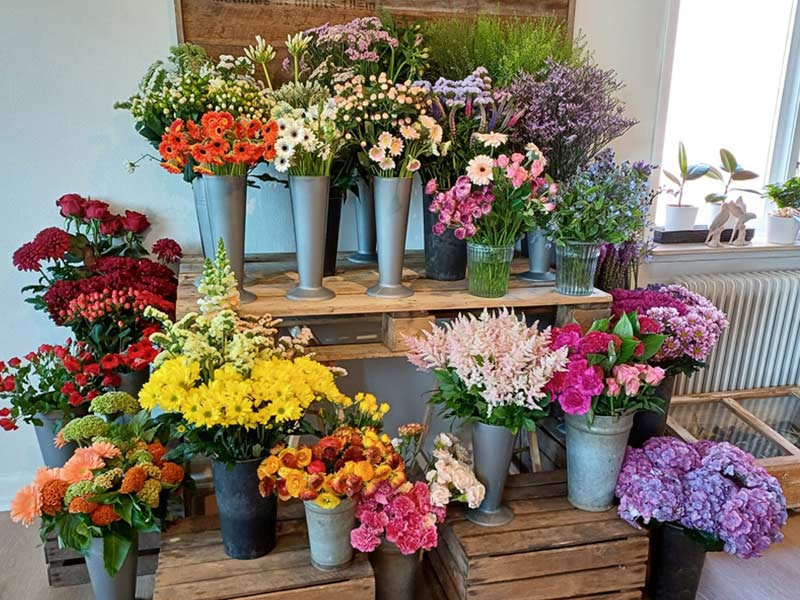 En masse forskellige snit-blomster i vaser, der er klar til at blive bundet til en buket.