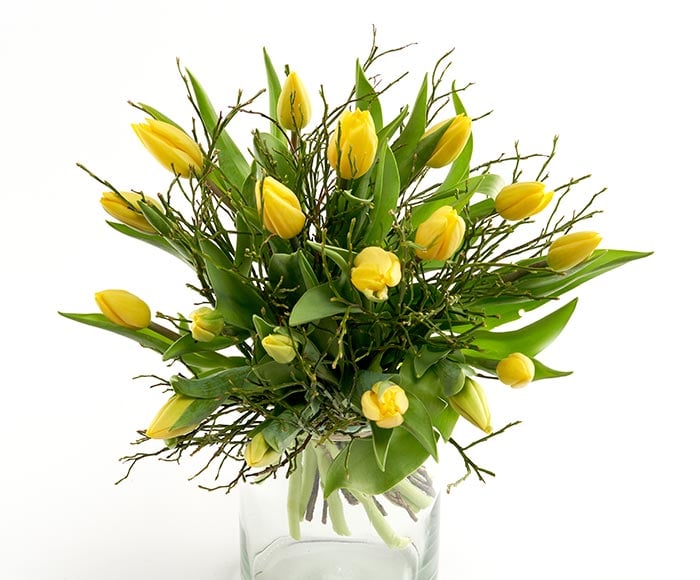 Frisk buket gule tulipaner
